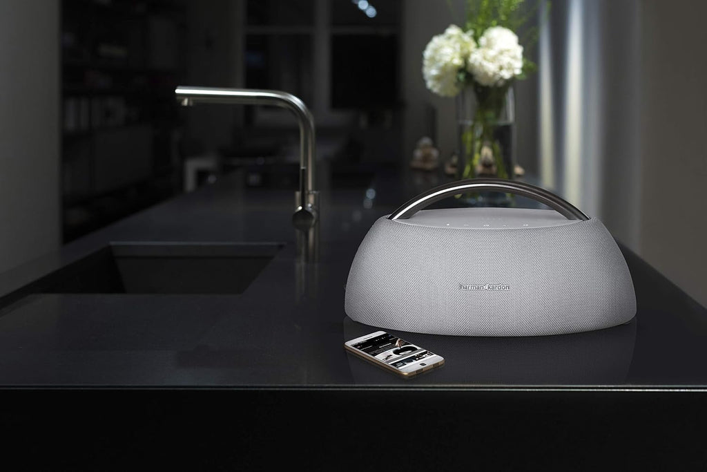 Harman/Kardon Go + Play 3