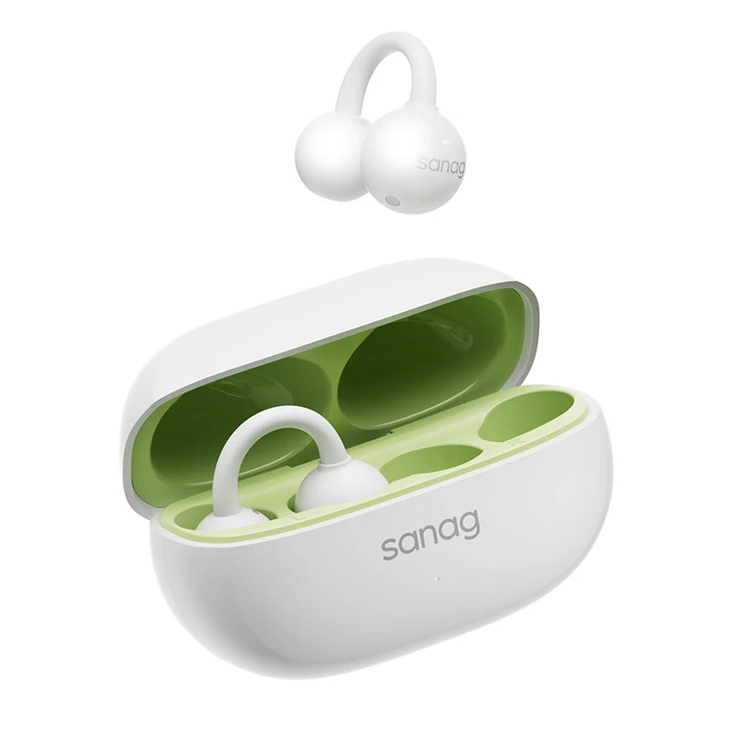 Sanag F20S Pro