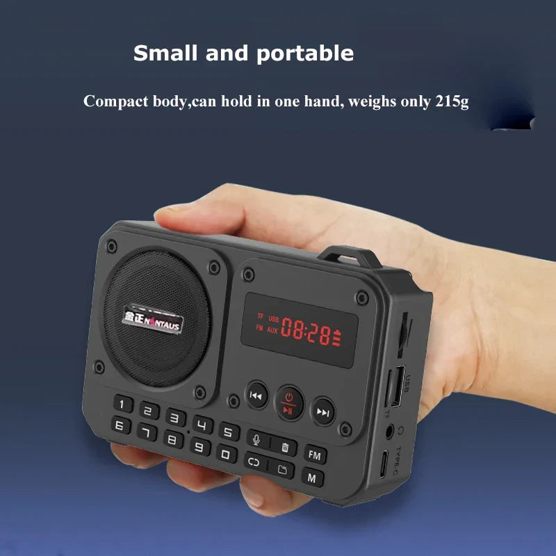 Mini Portable FM Radio Bluetooth Speaker Grey