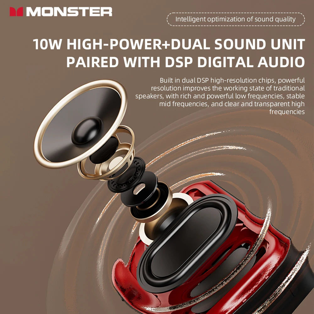 Monster DS01