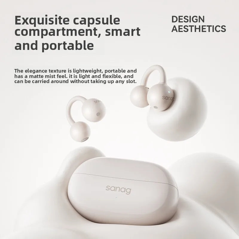 Sanag F20S Pro