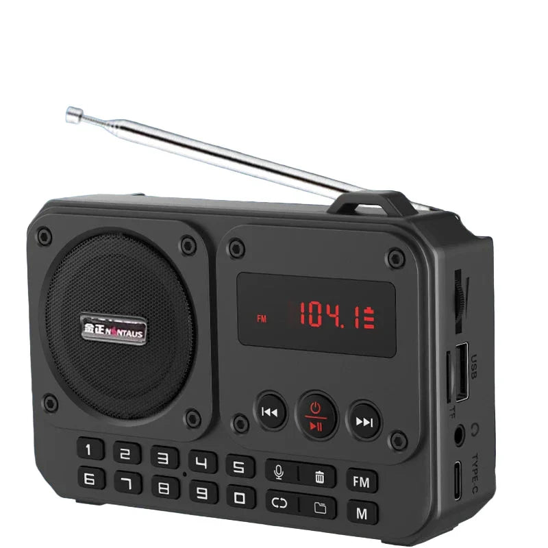 Mini Portable FM Radio Bluetooth Speaker Grey
