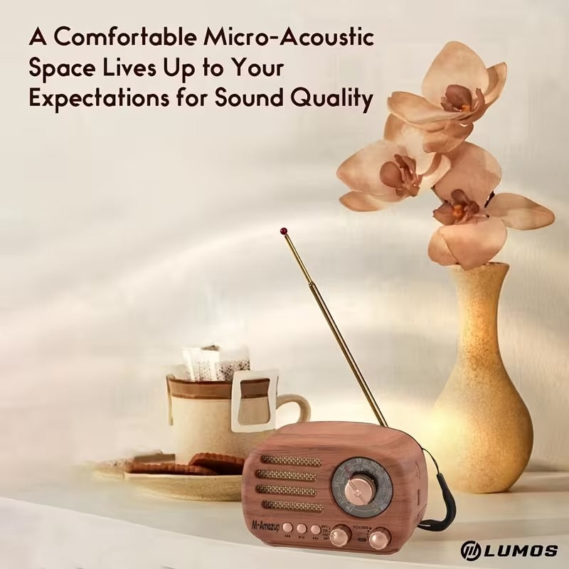 Portable AM/FM/SW Multifunctional Radio
