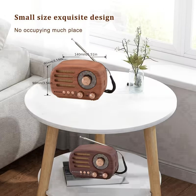 Portable AM/FM/SW Multifunctional Radio